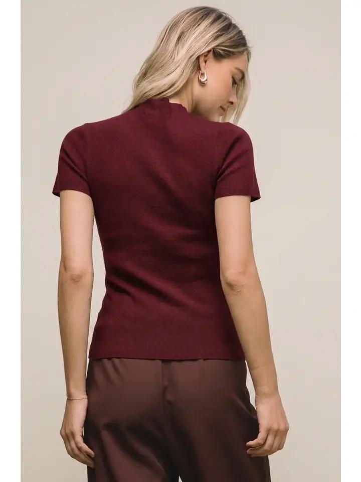 Burgundy Soft Knit Sweater Top