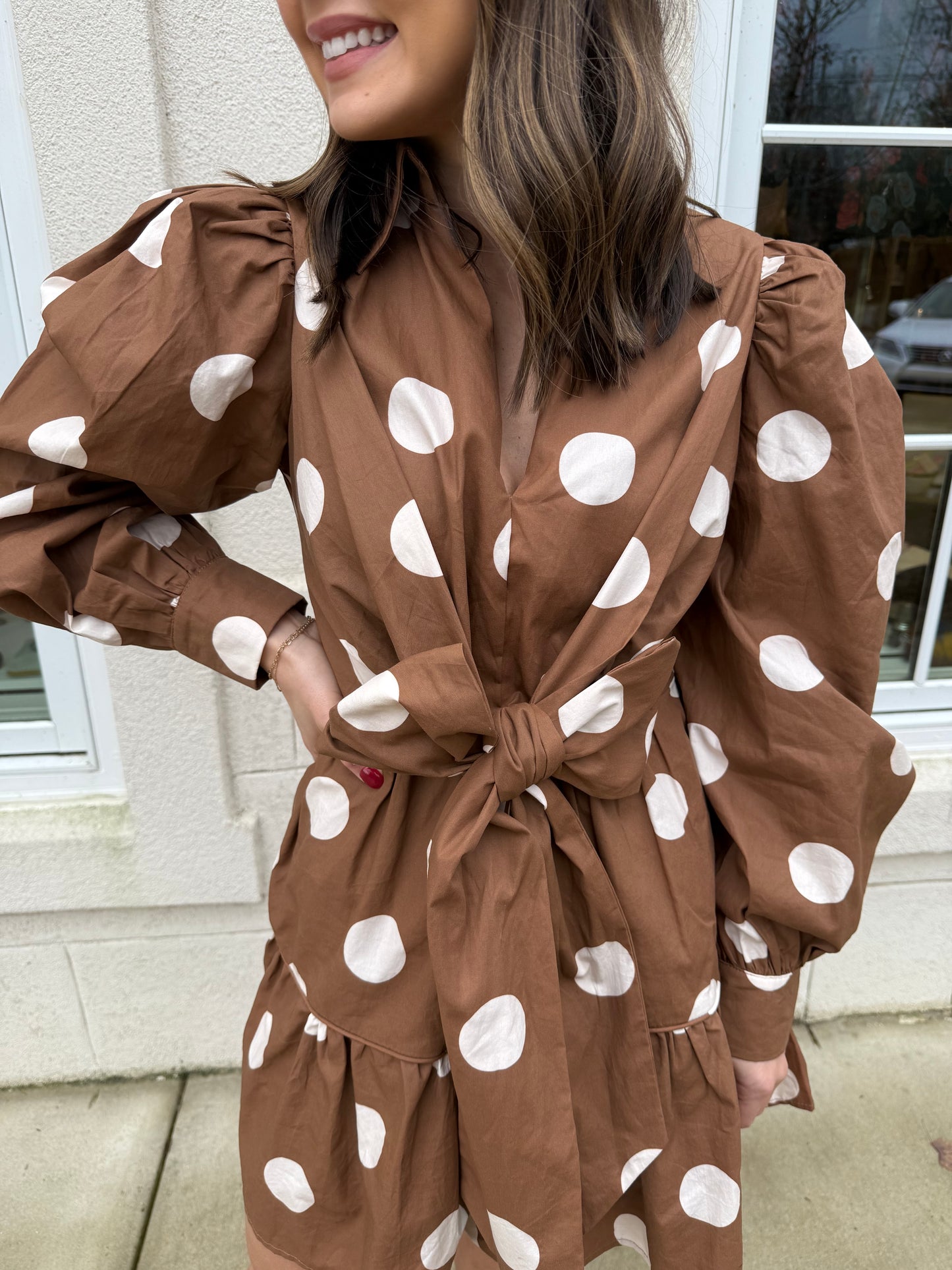 Brown and Cream Polka Dot Mini