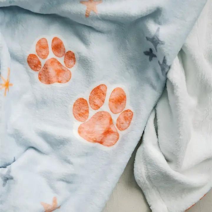 AU Fleece Blanket