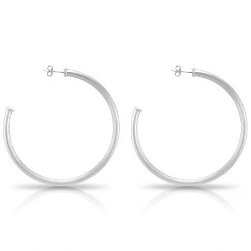 Brushed Silver Everybody's Favorite Hoop