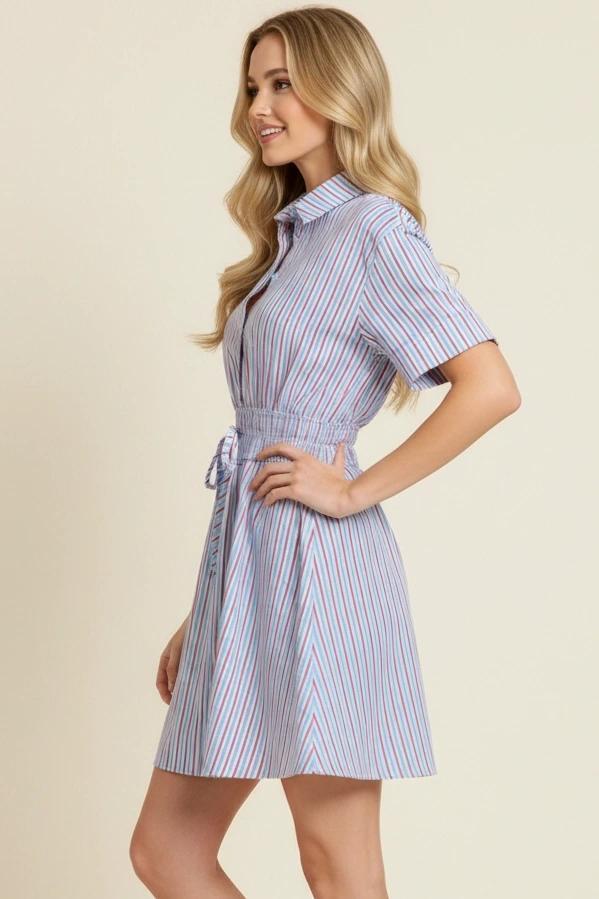 Blue and Red Striped Button Down Dress