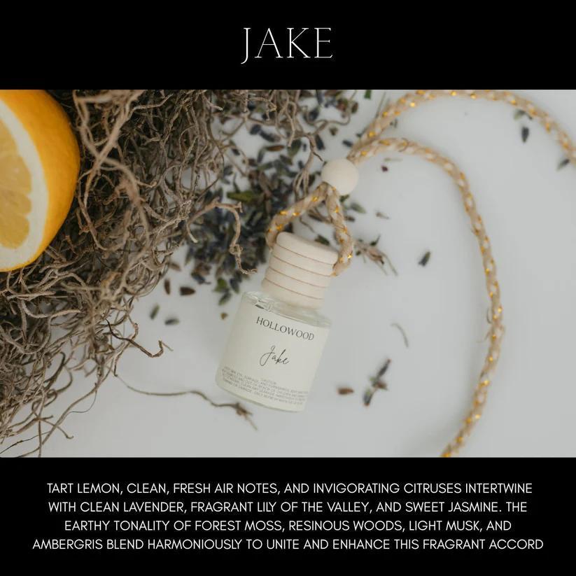 Jake Car Diffuser