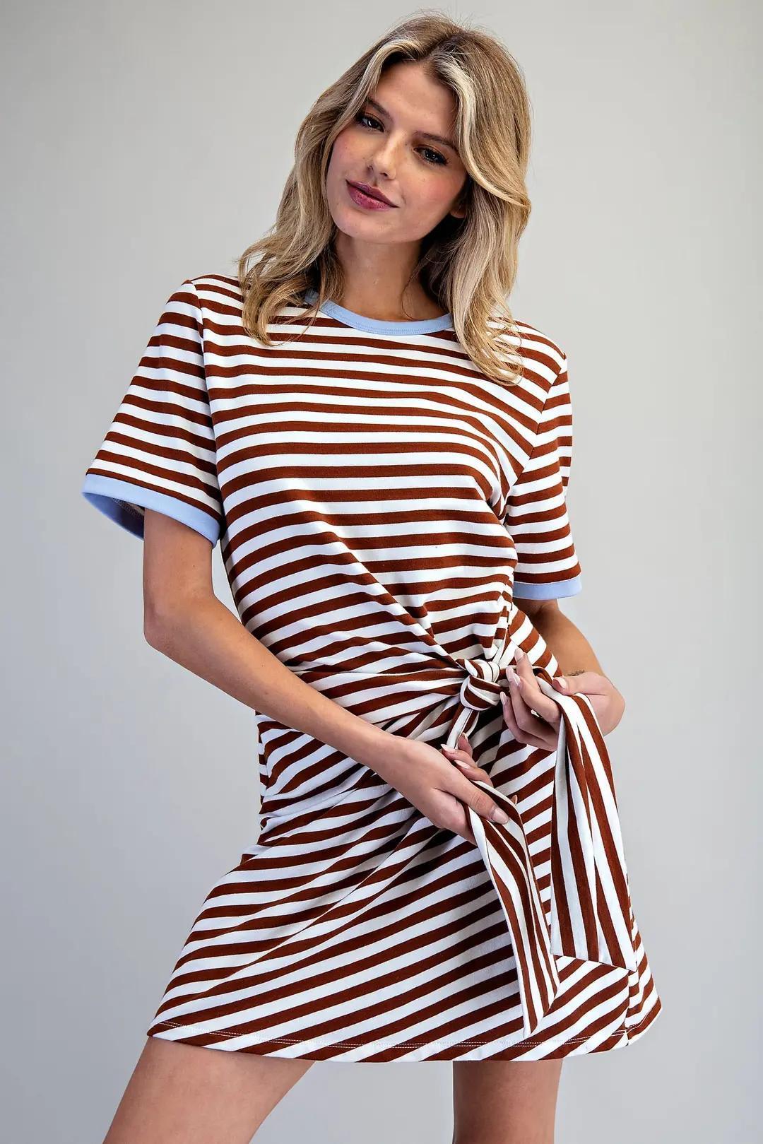 Chocolate Striped Mini Dress
