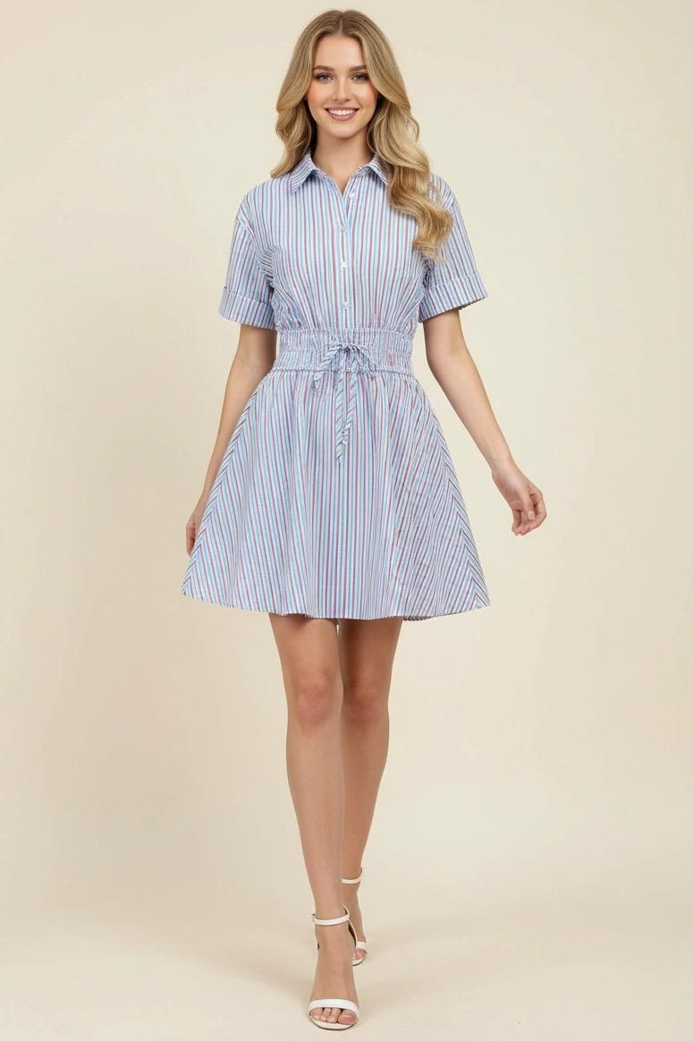 Blue and Red Striped Button Down Dress