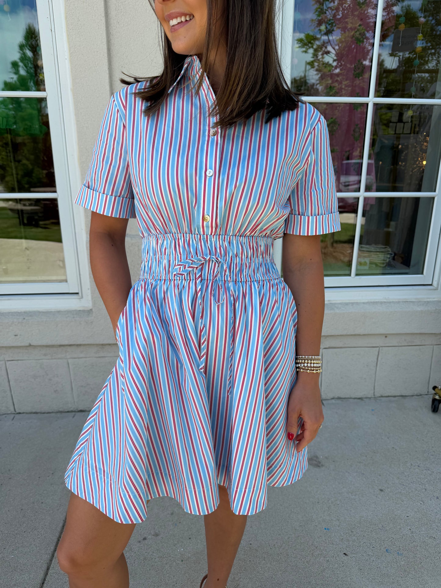 Blue and Red Striped Button Down Dress