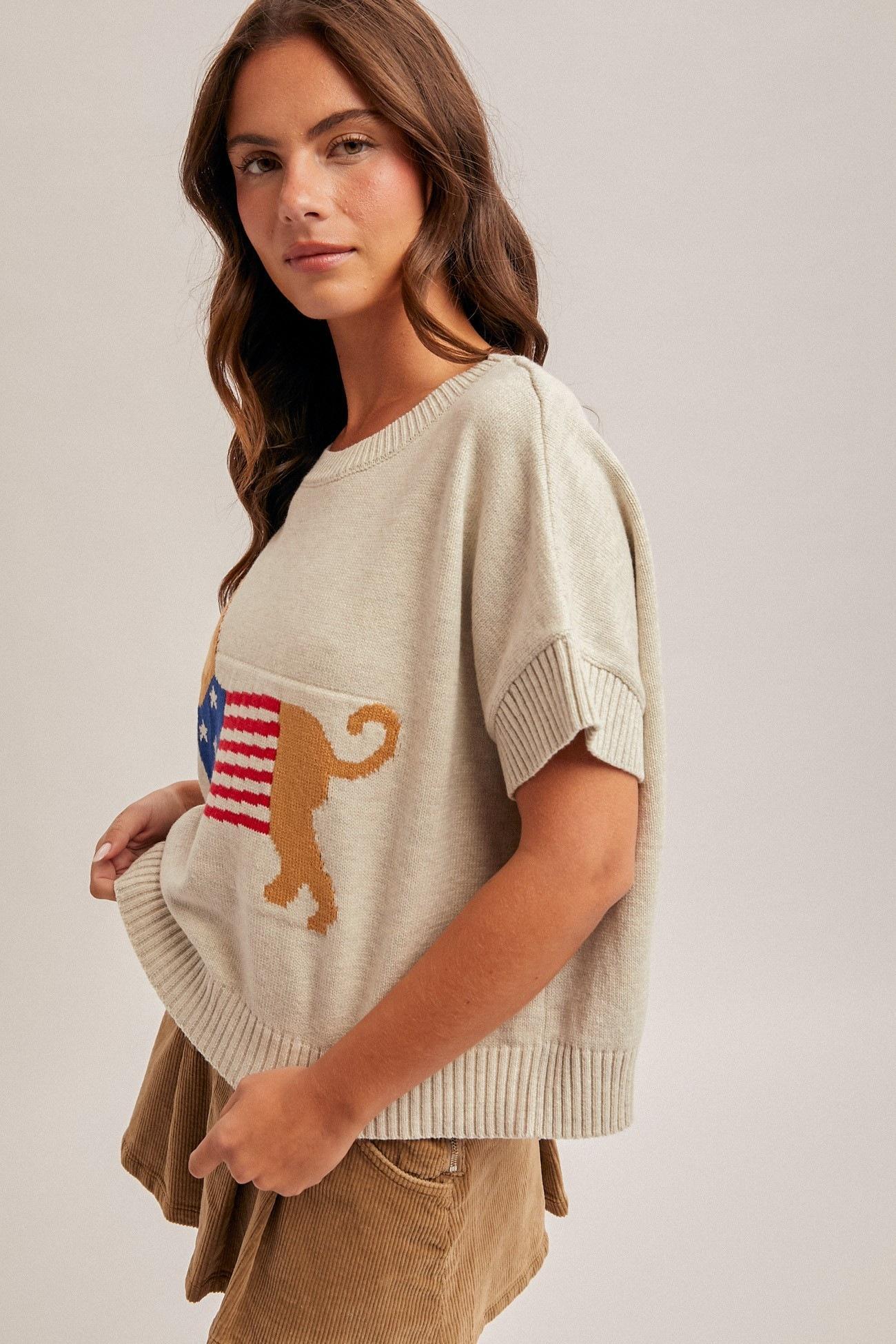 Heather Grey Puppy USA Sweater