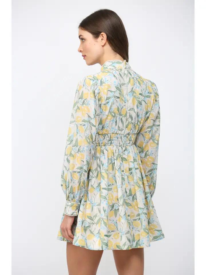Lemons, Floral, and Lace Fit and Flare Dress