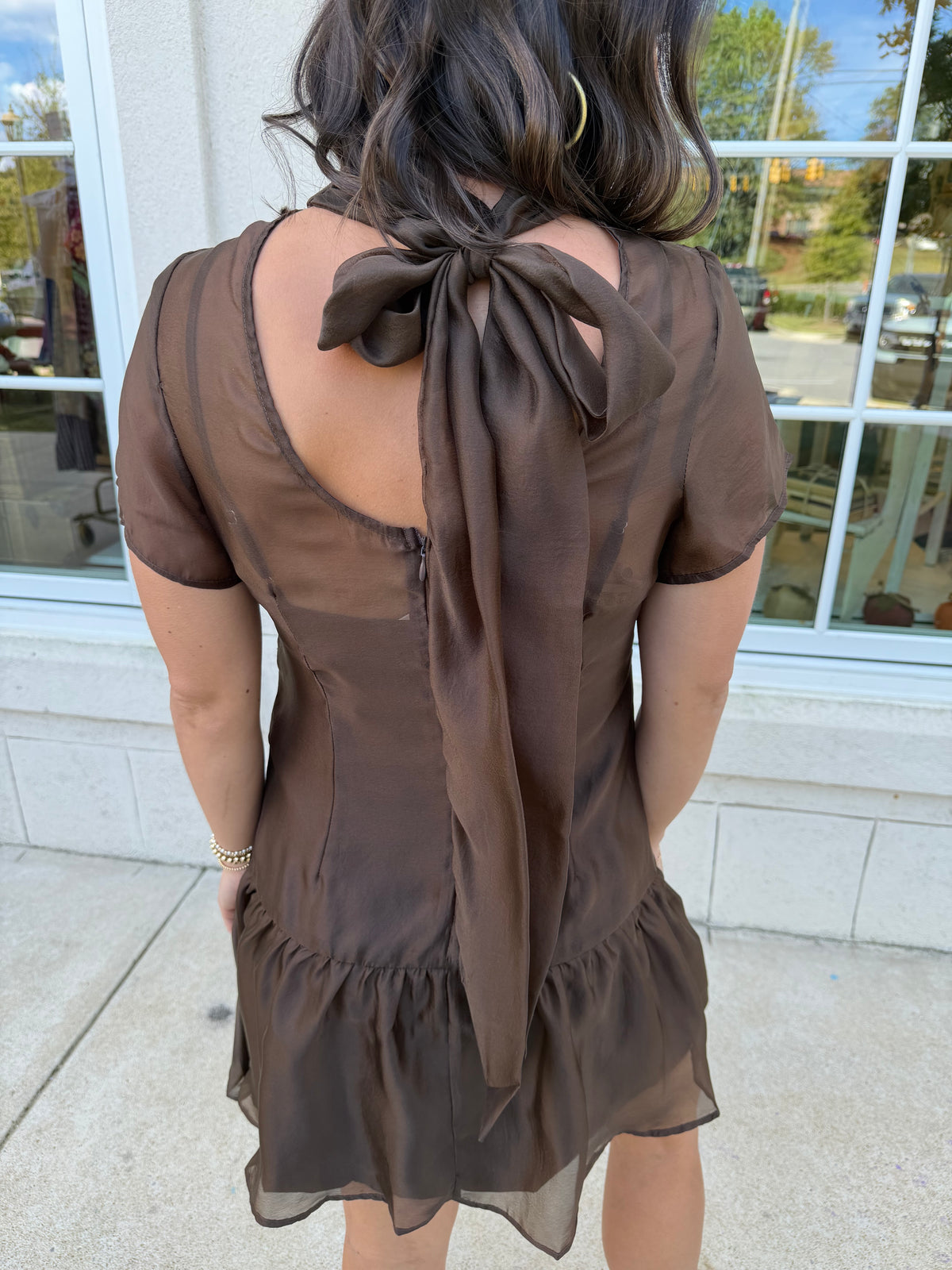 Dark Brown Soft Organza Mini Dress