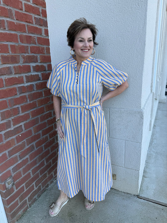 Honey Mustard and Denim Striped Dress