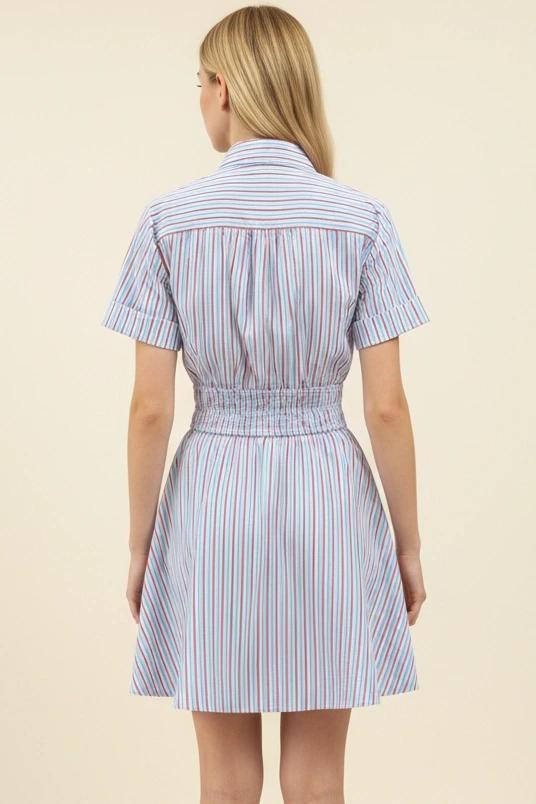 Blue and Red Striped Button Down Dress