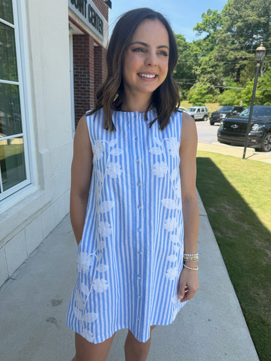 Light Blue Striped Flower Embroidered Mini