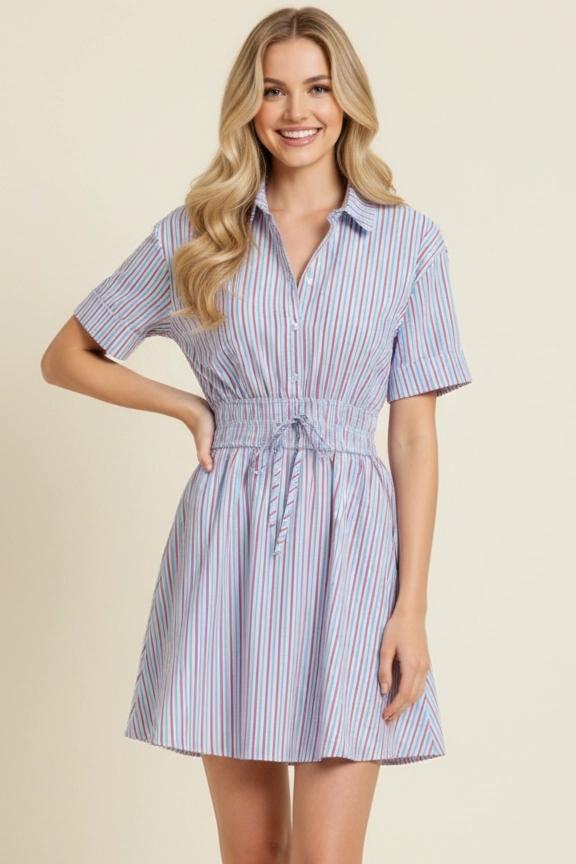 Blue and Red Striped Button Down Dress