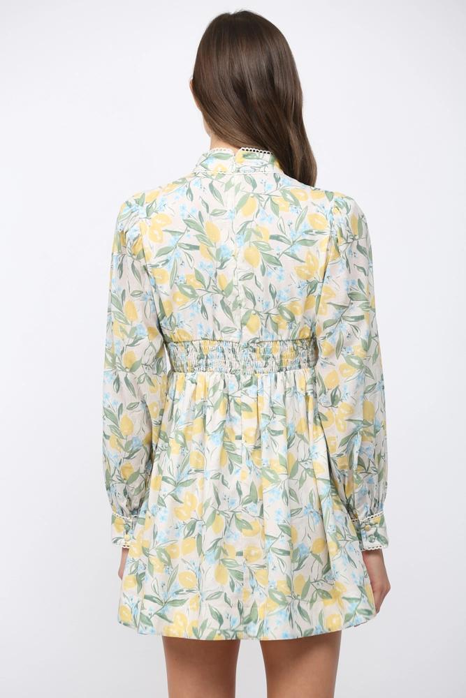 Lemons, Floral, and Lace Fit and Flare Dress