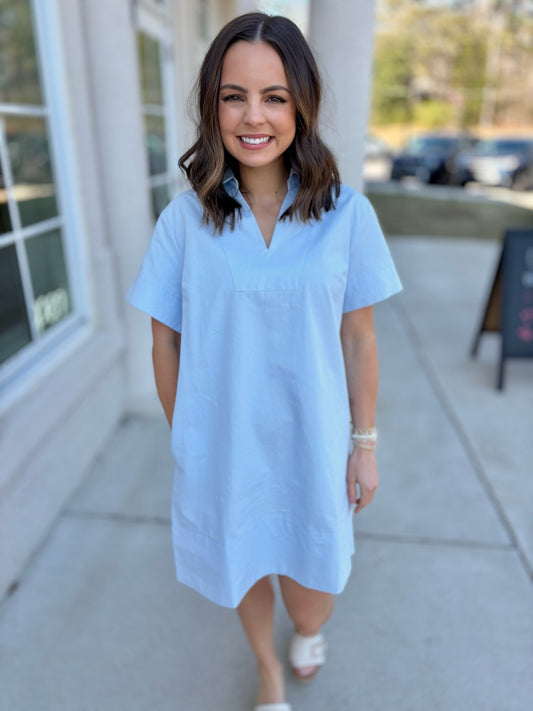 Light Blue Denim Sheath Mini