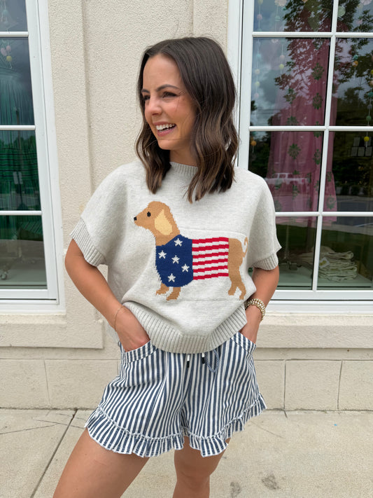 Heather Grey Puppy USA Sweater