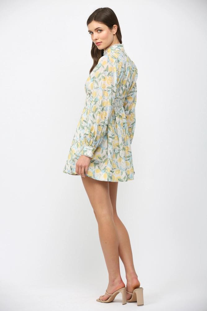Lemons, Floral, and Lace Fit and Flare Dress