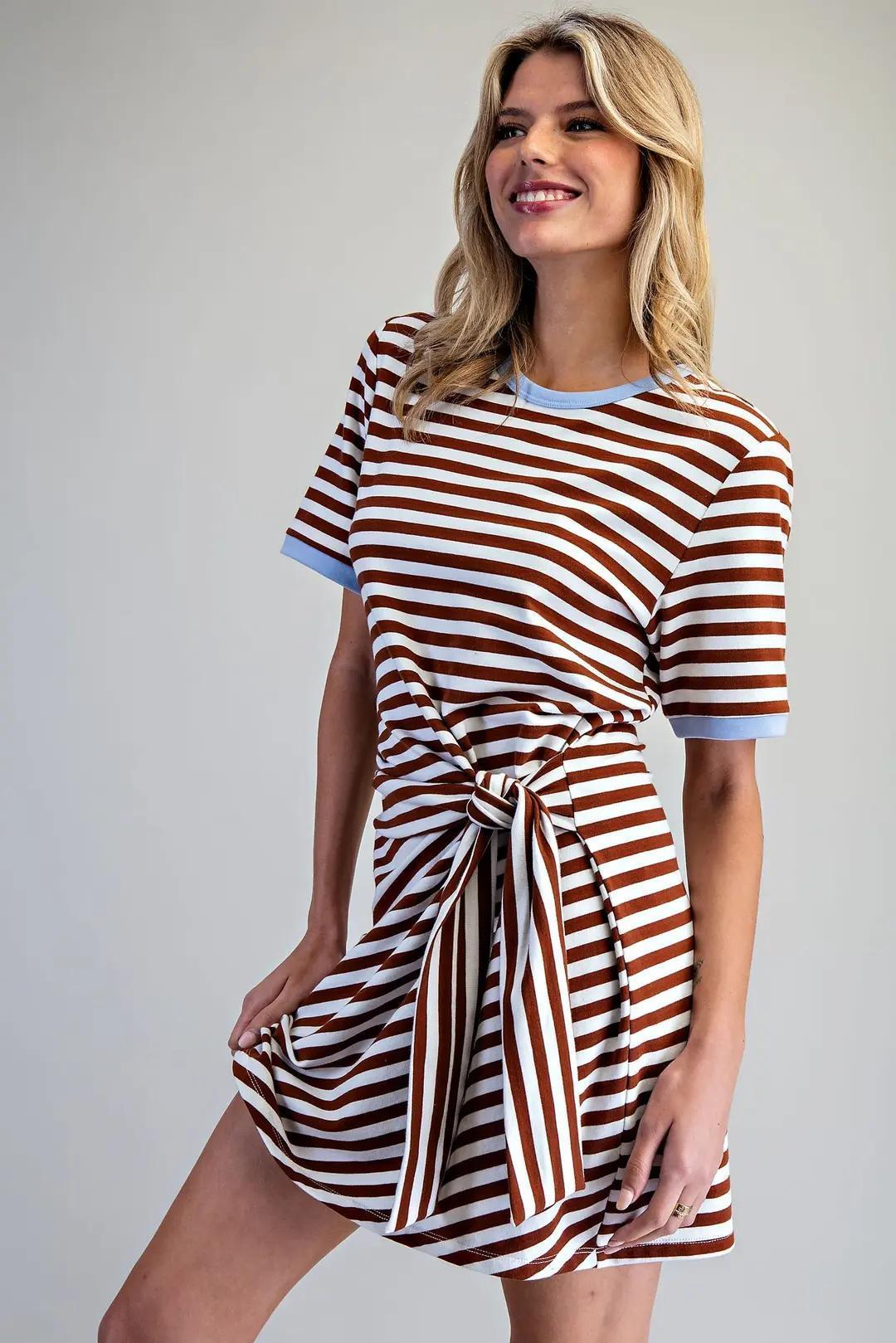 Chocolate Striped Mini Dress