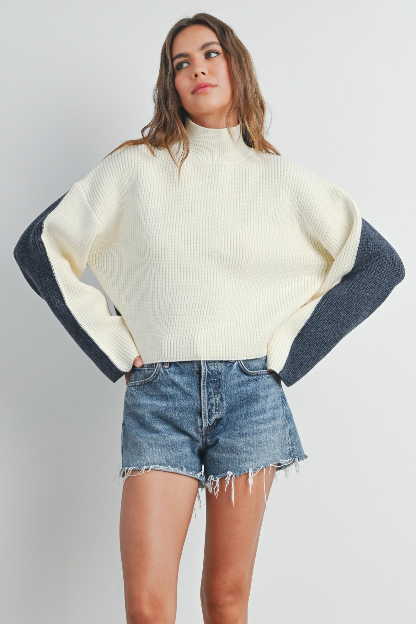 Ivory and Navy Two-Toned Turtleneck Sweater
