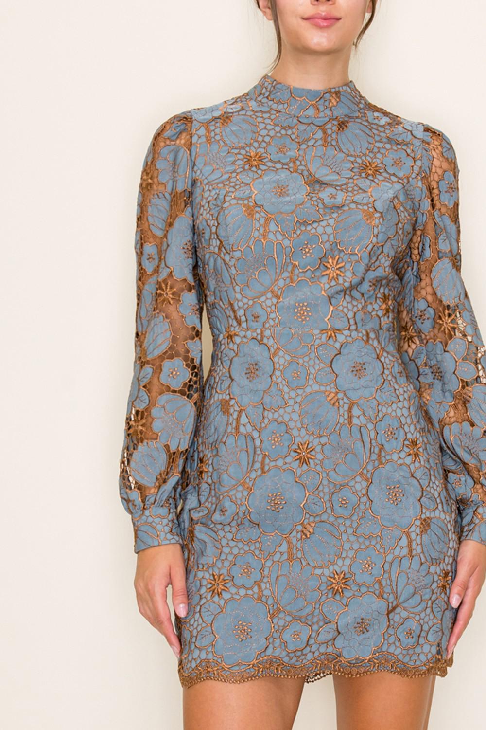 Dusty Blue and Bronze Embroidered Mini Dress